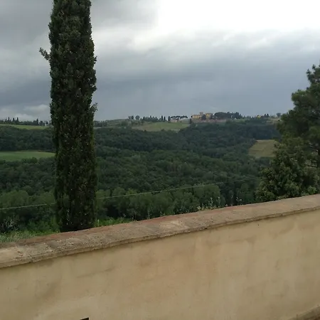 L'olmo