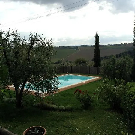 L'olmo