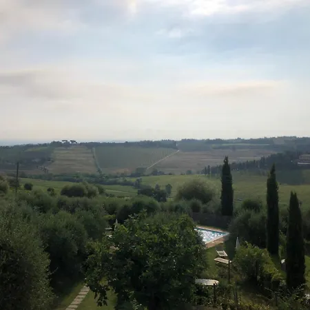 L'olmo *