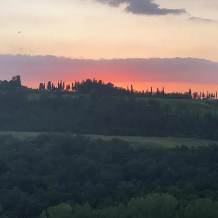 L'olmo * San Gimignano