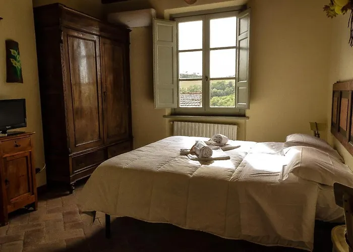 L'olmo San Gimignano