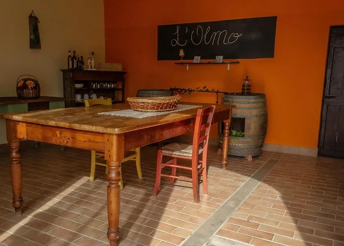 L'olmo