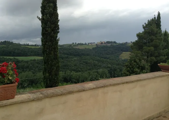 L'olmo