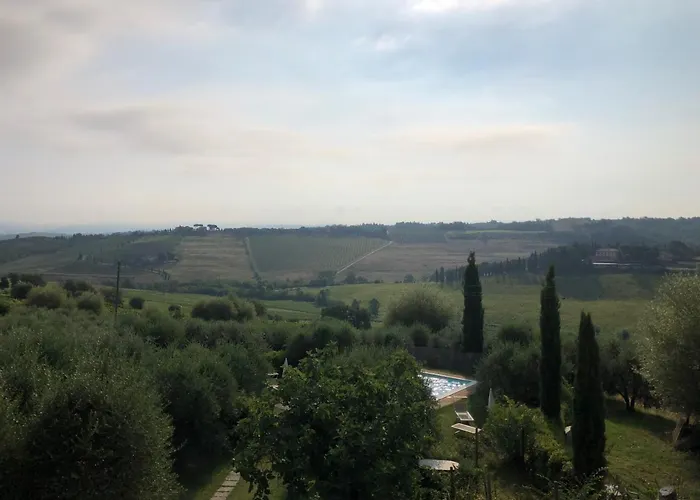 L'olmo *