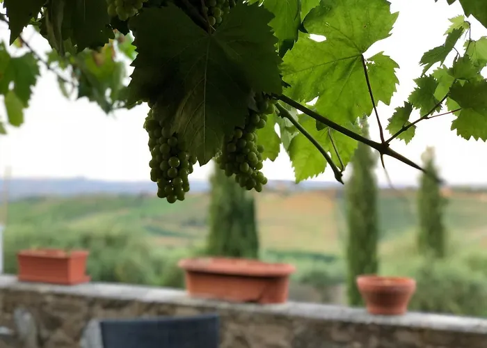 L'olmo * San Gimignano