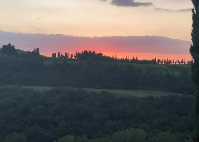 L'olmo * San Gimignano